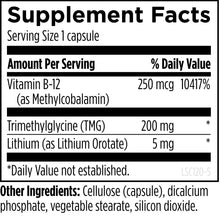 Load image into Gallery viewer, Designs For Health Lithium Synergy
